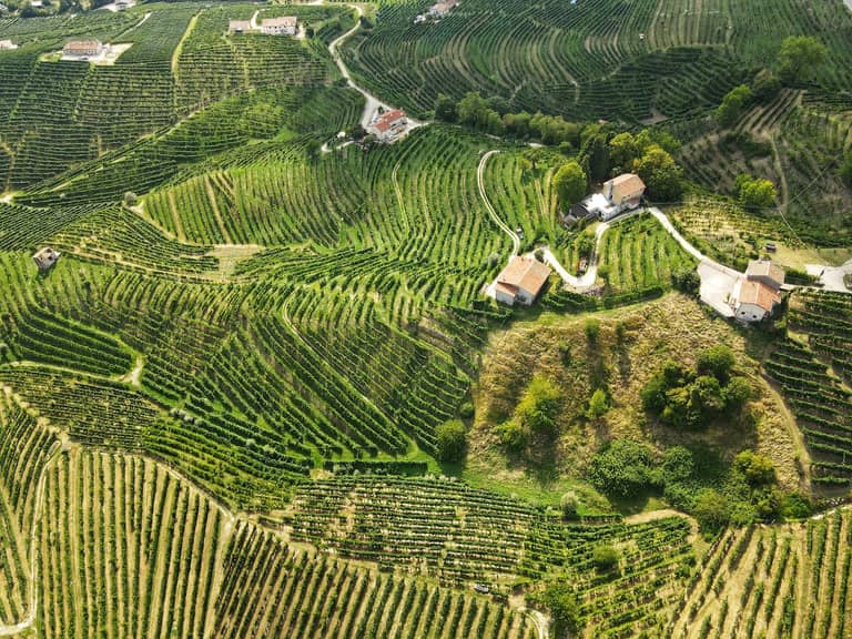 Tour di Prosecco
