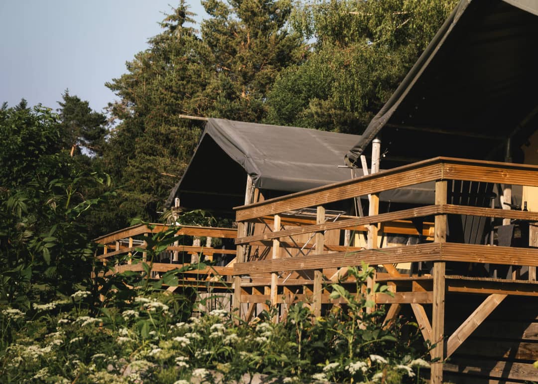 Base Lodge auf Pfählen inmitten der Wildblumen